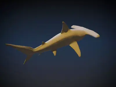 Hammerhead Shark 3D model