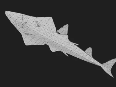 Skate Low-poly 3D model
