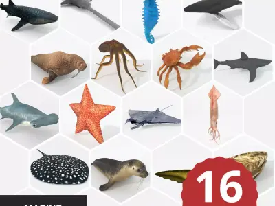 16 Marine Animals Pack - Colletion Low-poly 3D model