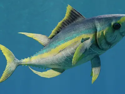 Tuna Fish Animated Free low-poly 3D model