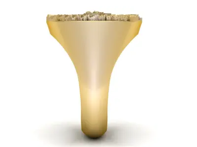 Mayan Calendar Rings Combo 3D Model Collection