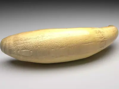 Sperm Whale Tooth 3D model