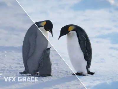 Emperor Penguin Animated  VFX Grace 3D model
