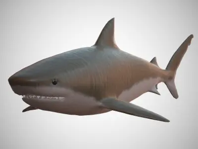 Tiger Shark Low-poly 3D model