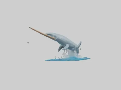 Narwhal breaching model Low-poly 3D model