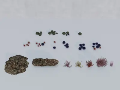 Nature Assets - Marine Biome Low-poly 3D model