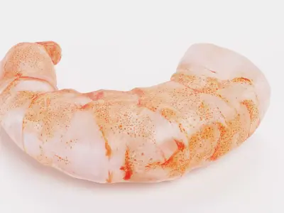 Shrimp Bite - Realistic Cooked Seafood Piece 3D model