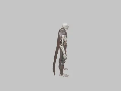 Sci fi robot Skeleton Rigged Animated Low-poly 3D model
