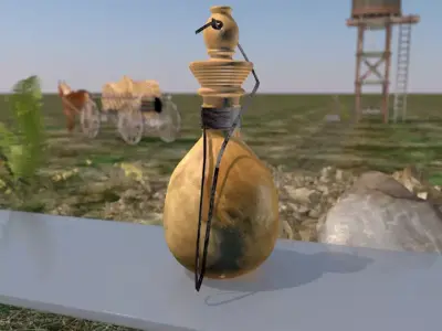 Medieval Gourd Water 3D model
