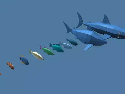 Fish Pack Low-poly 3D model