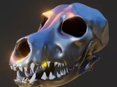 Skull wolf Free 3D model