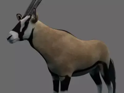 African Oryx Low-poly 3D model