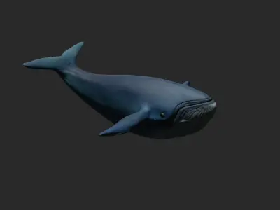 Mobile Game-Ready Low Poly Whale 3D Model Free low-poly 3D model