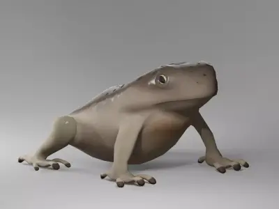 Brown Frog Low-poly 3D model