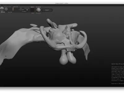 Pentery thoracic vertebra 3D model