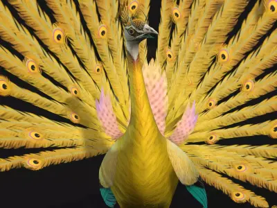 Peacock A2 Free low-poly 3D model