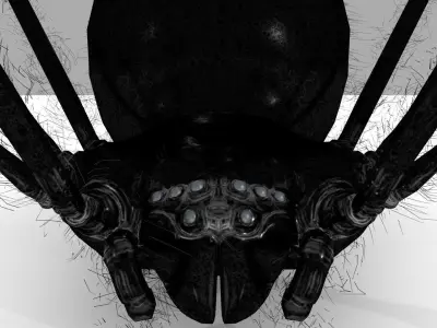 Black Widow Rigged and Walk Animation Low-poly 3D model