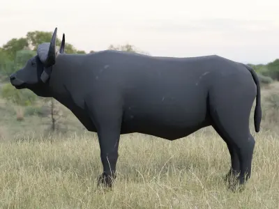 Buffalo bull Low-poly 3D model