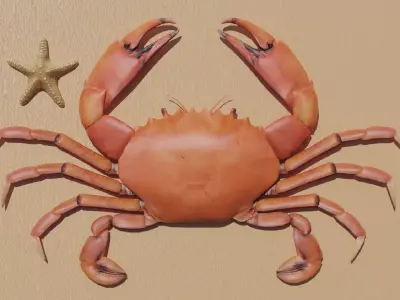 Sea Creatures Low-poly 3D model