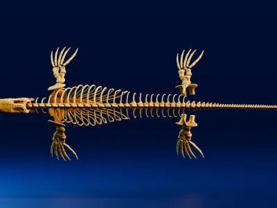 Realistic Ancient Reptilians Fossil - Mosasaurus Low-poly 3D model