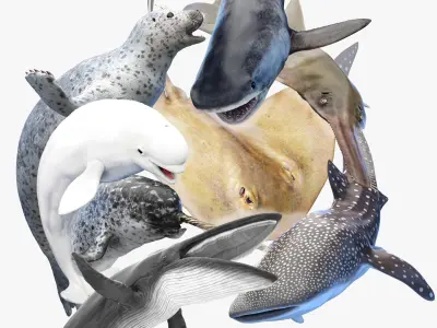 Marine Collection Animated 3D model