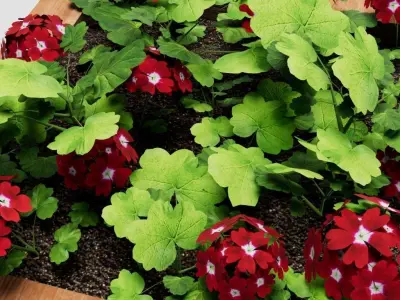 Low-Poly Wood Flower Planter with Geraniums 3D Model Low-poly 3D model