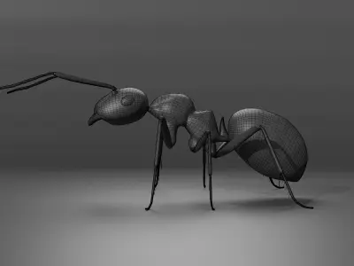 Ant 3D model Rigged 3D model