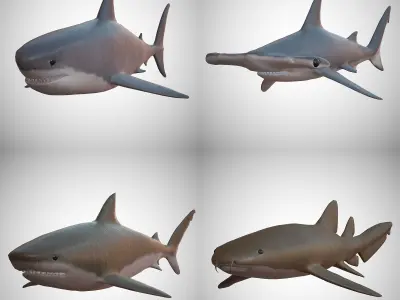 Sharks - 4 Pack Low-poly 3D model