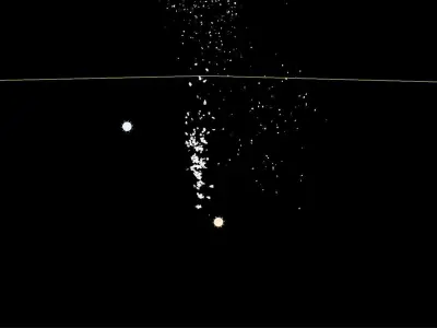 Wood Debris Fall 02 Low-poly 3D model