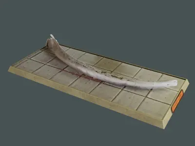 Whale mandible and PBR materials Free low-poly 3D model