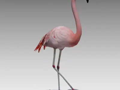 Flamingo Animated Low-poly 3D model