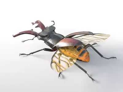 Stag Beetle insect Low-poly 3D model