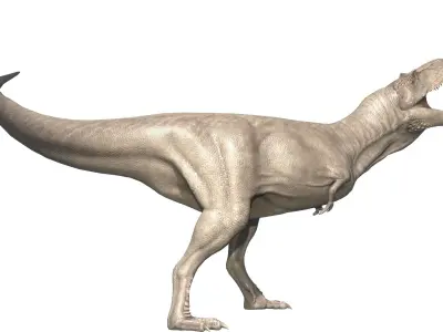 Albertosaurus Asset Pack Low-poly 3D model