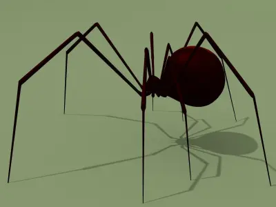 Black Widow Spider 3D model
