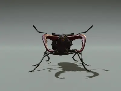 Stag beetle 3D model