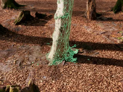 European Beech 02 3D Scanned Animated 3D model
