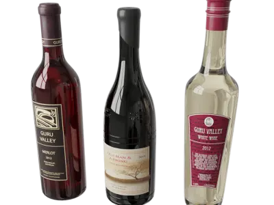  Three Wine Bottle Models 