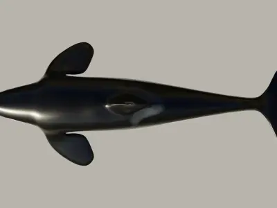 Killer Whale - Low-poly 3D model Free low-poly 3D model