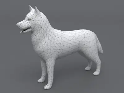 Husky dog Low-poly 3D model