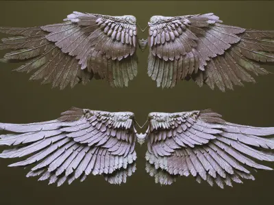 WINGS - 33 CREATURES MESHES 3D model
