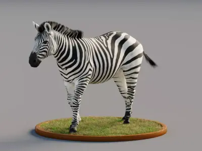 Rigged Zebra Free 3D model