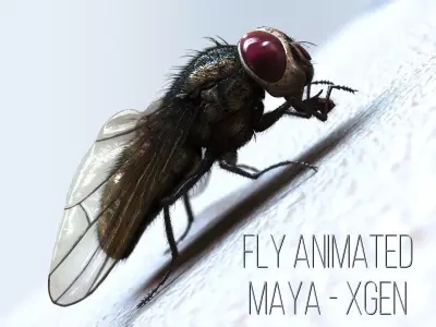 Fly ANIMATED XGEN CORE 3D model