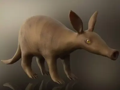 Aardvark Juvenile 3D model
