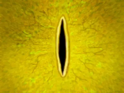 Stegosaurus Type 2 Di 3D model