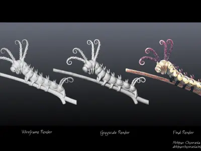 Caterpillar Brahmin moth 3D model  3D model