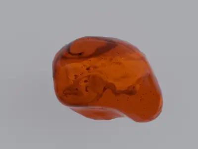 Sea Otter Skull Trapped within Amber 3D model