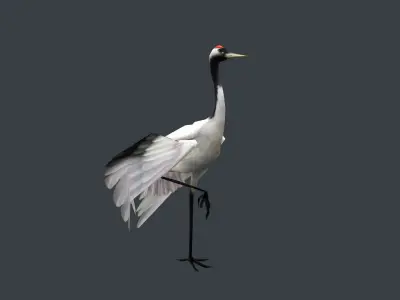 low-poly animated crane bird Low-poly 3D model