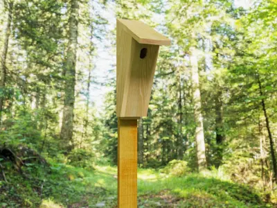 Wooden Bluebird House 3D model