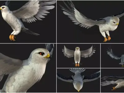 Pack-08 Bird 3D model