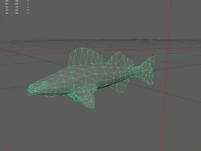 Walleye Low-poly 3D model
